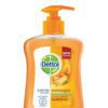 _Dettol Handwash Re-energize Liquid Soap Pump 200 ml